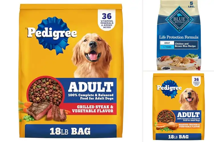 Detailed view of Best Adult Dog Foods: 10 Top Picks for a Healthy, Happy Pup