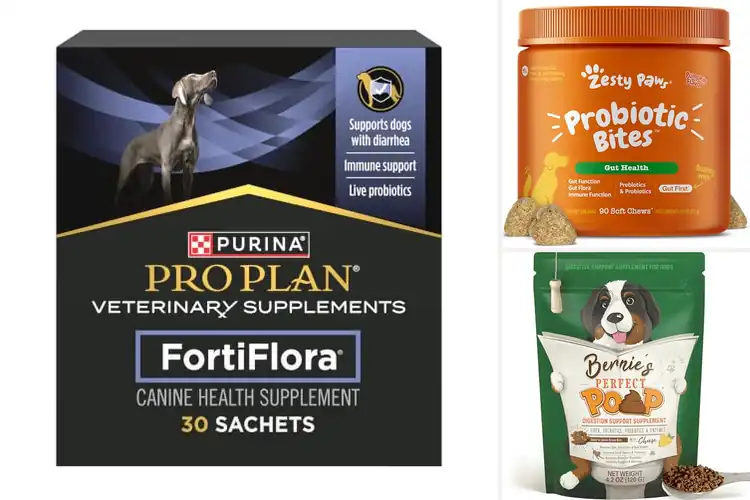 Detailed view of Best Digestive Supplements for Dogs