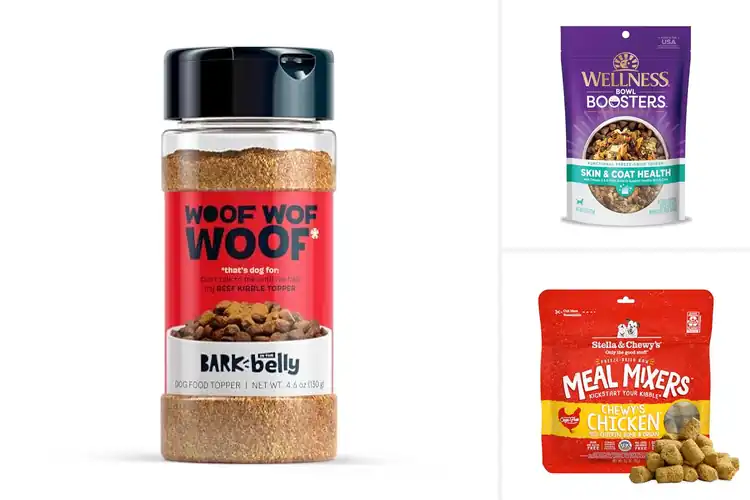 Detailed view of Best Dog Food Enhancers