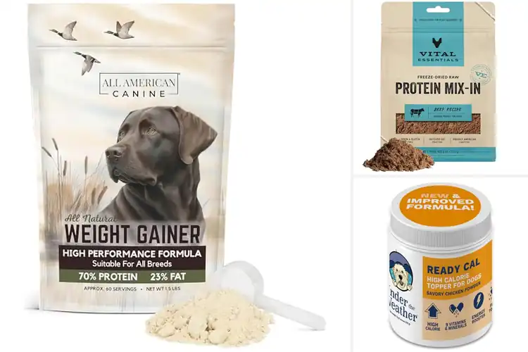 Detailed view of Best Dog Food Toppers For Weight Gain