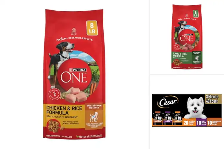 Detailed view of Best Dog Foods: Top Picks for a Healthy, Happy Pup