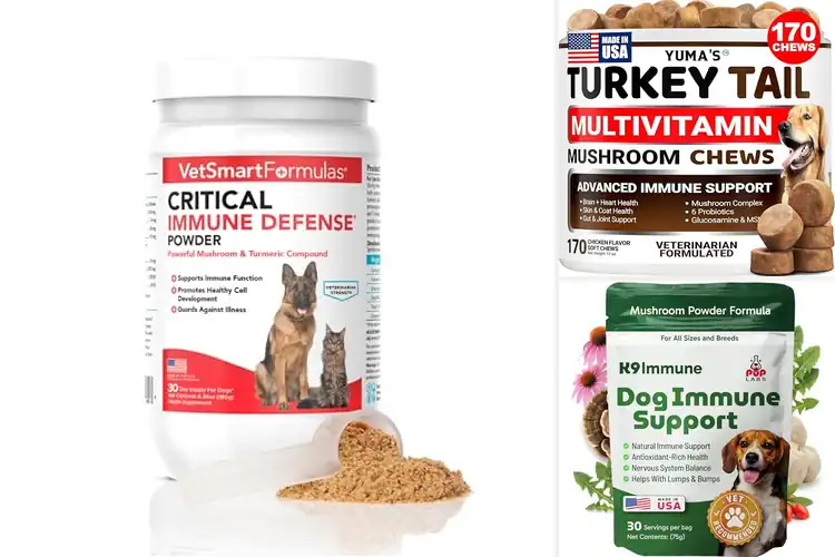Detailed view of Best Dog Immune Boosters: 10 Top Picks for a Healthy Pup