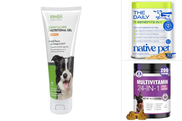 Detailed view of Best Dog Nutritional Supplements