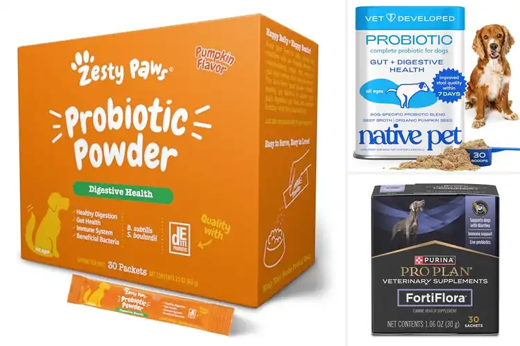 Detailed view of Best Dog Probiotic Toppers: 10 Picks for Health