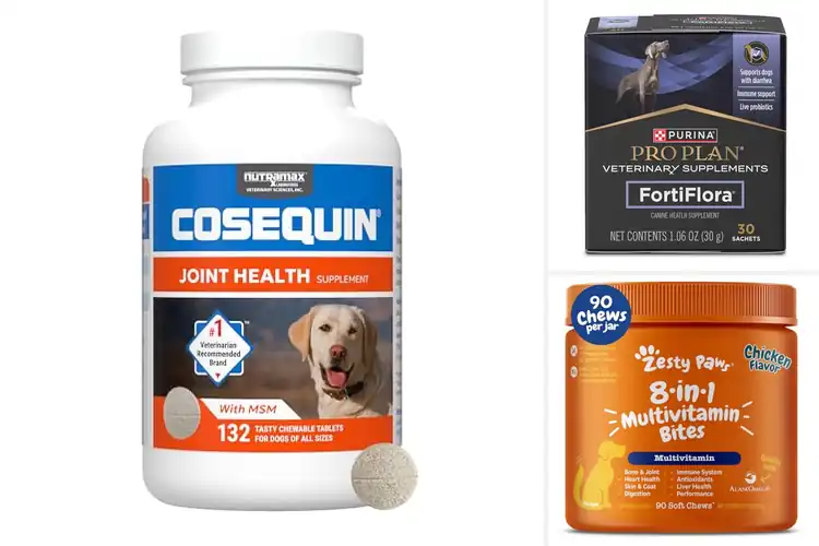 Detailed view of Best Dog Supplements: 10 Top Picks for a Healthy, Happy Pup