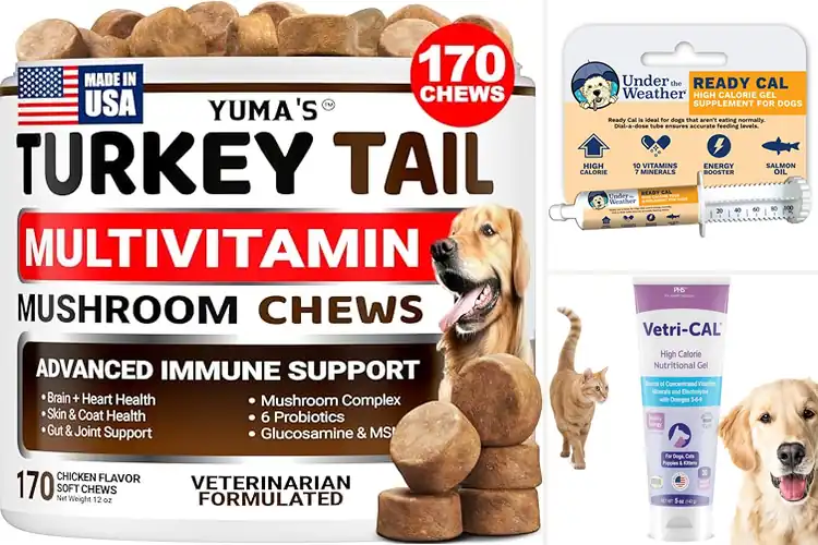 Detailed view of Best Dog Vitamin Boosters