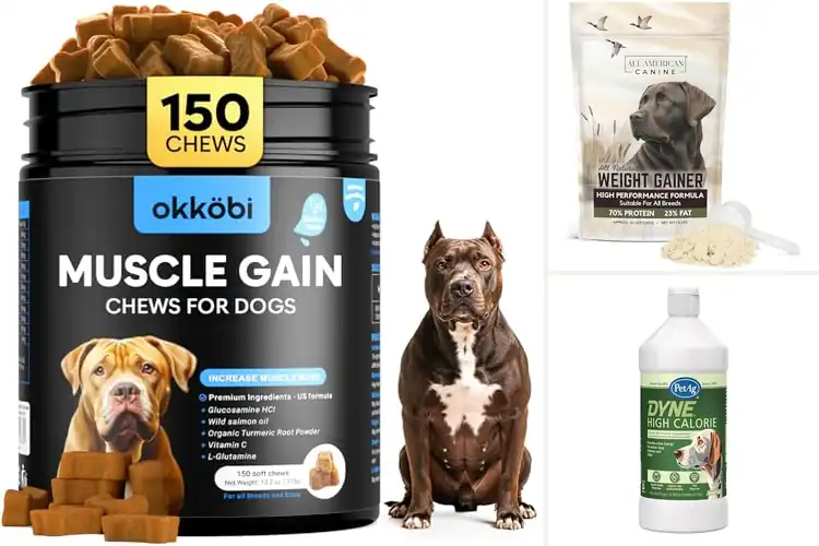 Detailed view of Best Dog Weight Gain Supplements for Healthy, Strong Growth