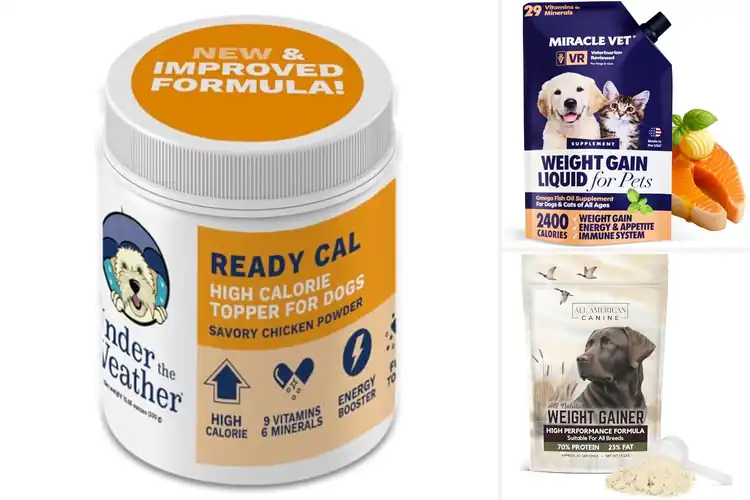 Detailed view of Best Dog Weight Gain Toppers for Healthy Growth