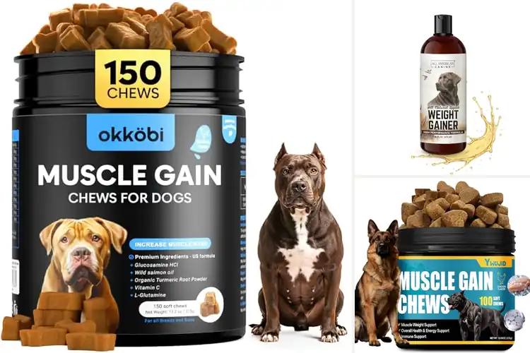 Detailed view of Best Dog Weight Gainers: Top Picks for Healthy Muscle