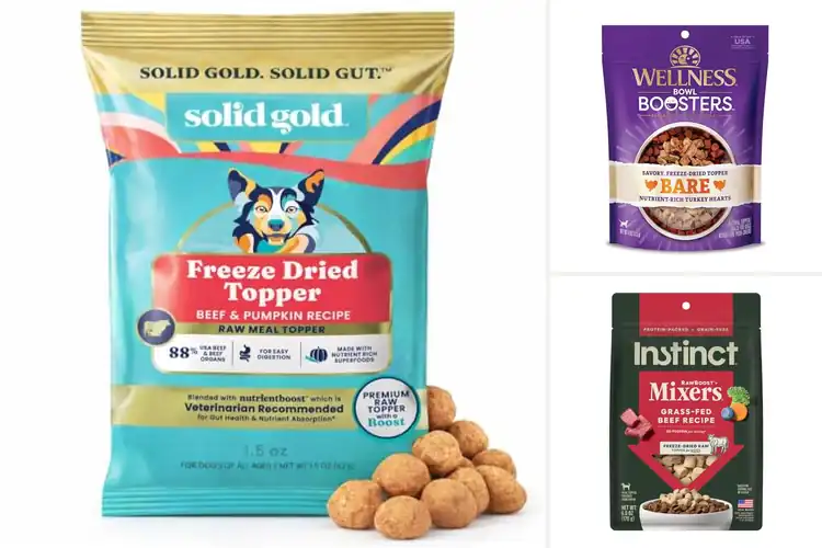 Detailed view of Best Freeze-Dried Dog Toppers: Top 10 Picks
