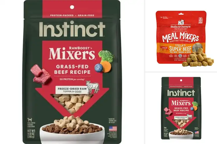 Detailed view of Best Freeze Dried Raw Dog Food Toppers