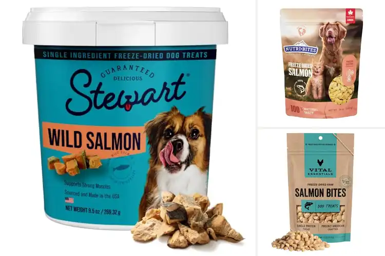Detailed view of Best Freeze Dried Salmon Dog Treats