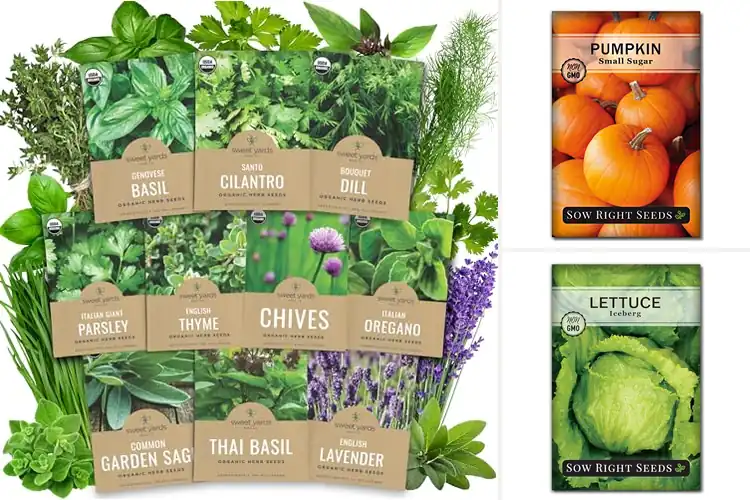 Detailed view of Best Fresh Seasonal Seeds