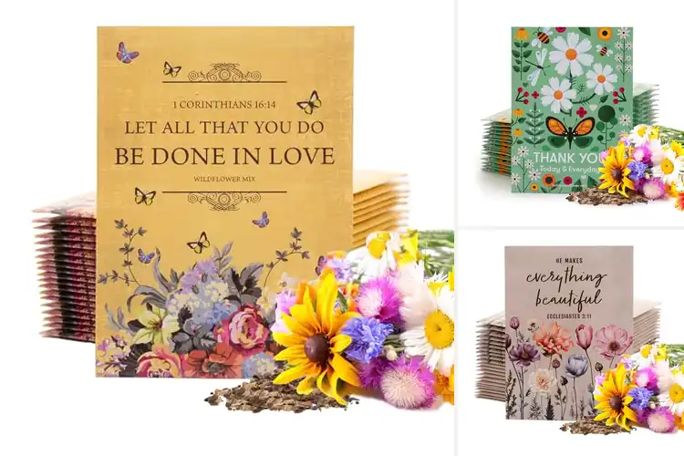 Detailed view of Best Giftable Seed Packs to Brighten Any Space