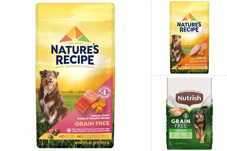 Detailed view of Best Grain Free Dog Foods
