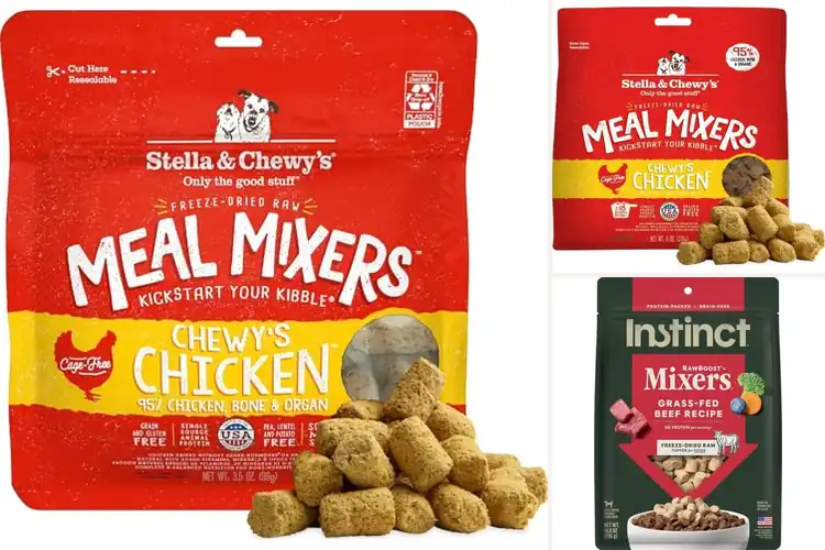 Detailed view of Best Grain-Free Dog Meal Mixers