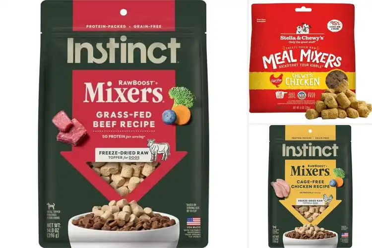 Detailed view of Best Grain-Free Kibble Mixers for Picky Dogs