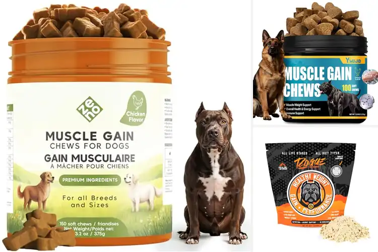 Detailed view of Best Healthy Weight Gain Dog Supplements