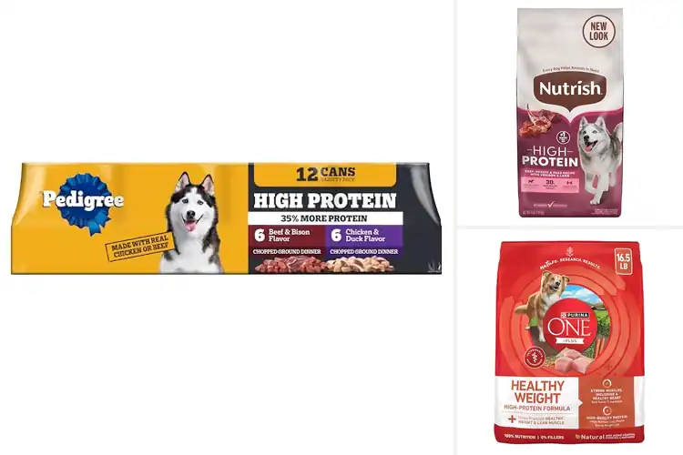 Detailed view of Best High-Protein Dog Foods