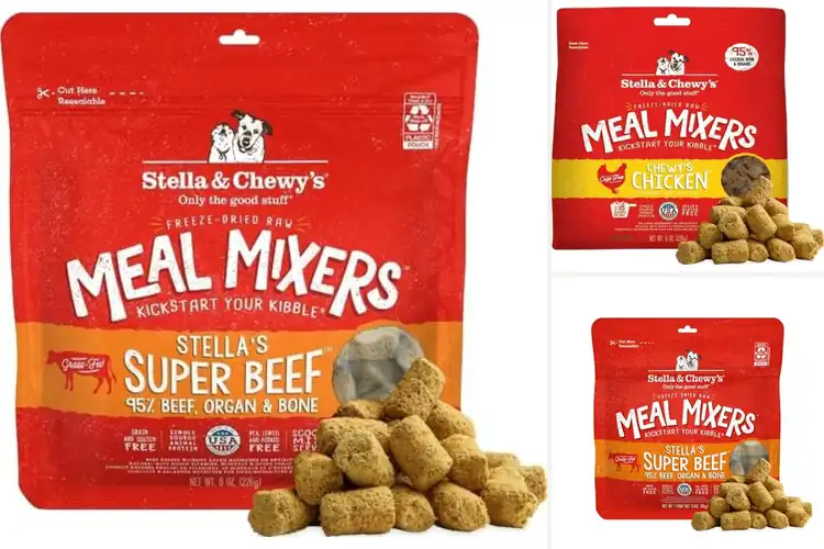 Detailed view of Best High Protein Dog Meal Mixers: Boost Energy & Health