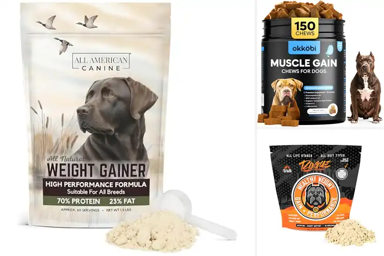 Detailed view of Best High-Protein Weight Gain Toppers For Dogs