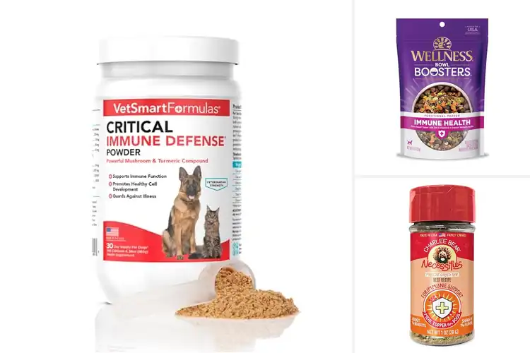 Detailed view of Best Immune Boosting Dog Toppers