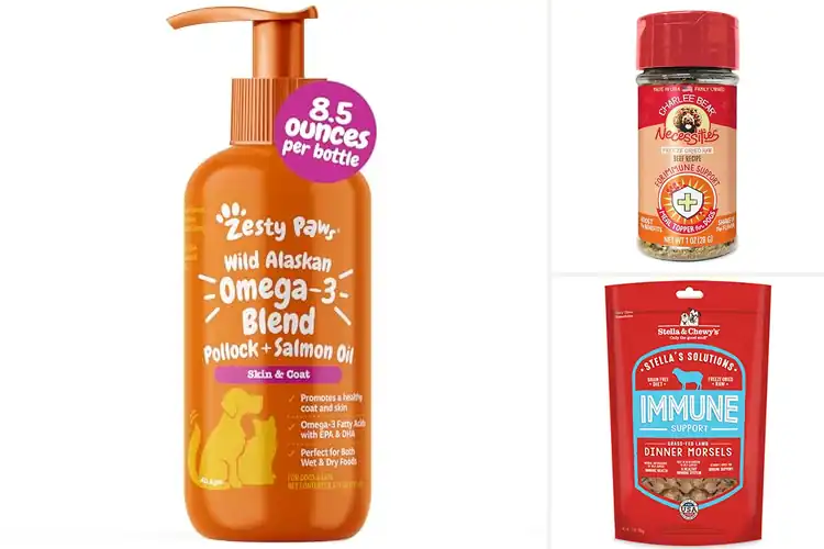 Detailed view of Best Immune Support Dog Foods