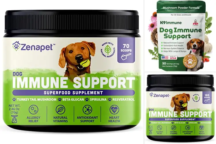 Detailed view of Best Immune Support Dog Toppers for Daily Wellness