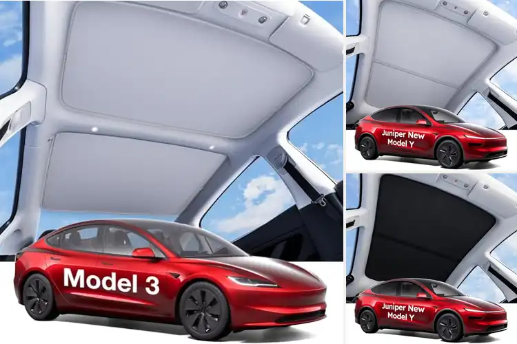 Detailed view of Best Interior Roof Accessories