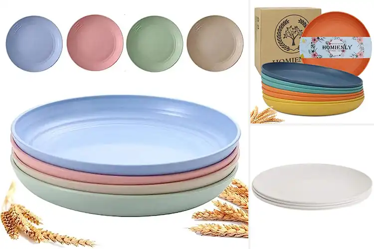 Detailed view of Best Microwave Safe Plates