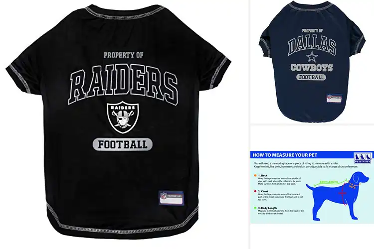 Detailed view of Best NFL Pet T-Shirts: Dress Your Pet in Team Spirit