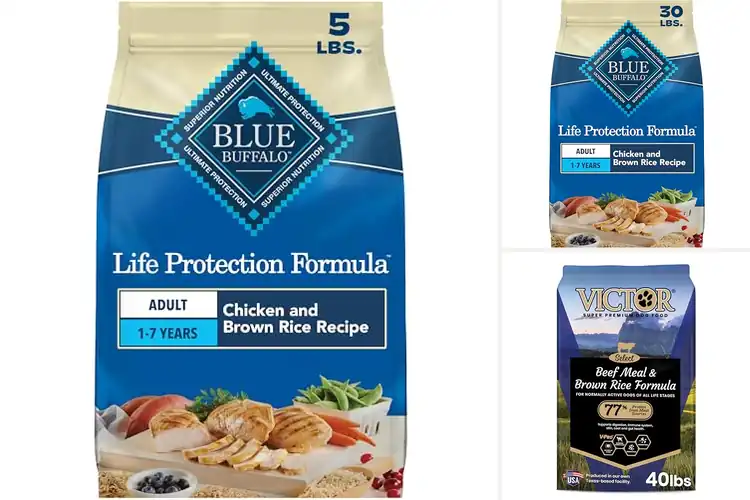 Detailed view of Best Premium Dog Foods: Top 10 Nutritious Picks for Your Pup