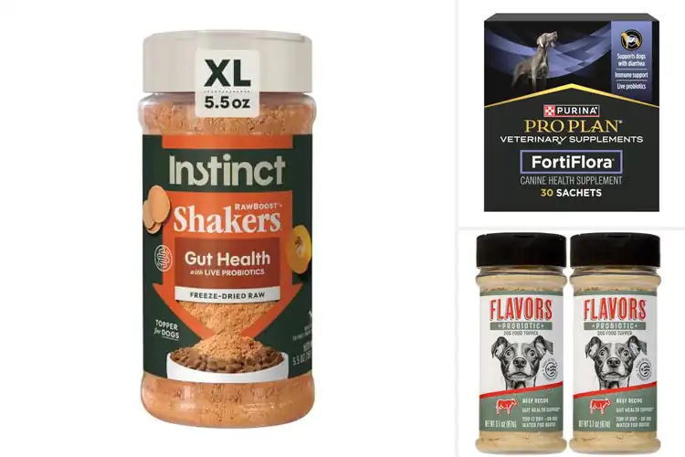 Detailed view of Best Probiotic Dog Food Enhancers