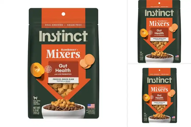 Detailed view of Best Probiotic Dog Food Mixers: Boost Your Pup’s Gut Health