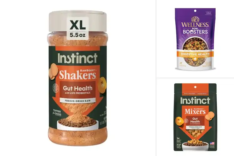 Detailed view of Best Probiotic Dog Food Toppers for Happy Tummies