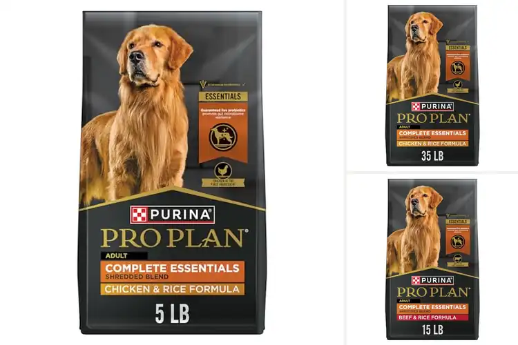 Detailed view of Best Probiotic Dog Foods: Top 10 Picks for a Healthy Pup