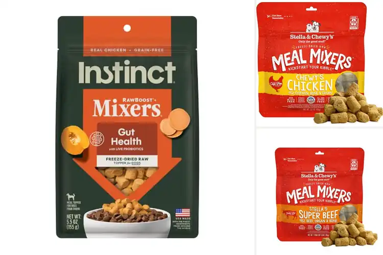 Detailed view of Best Probiotic Dog Meal Mixers