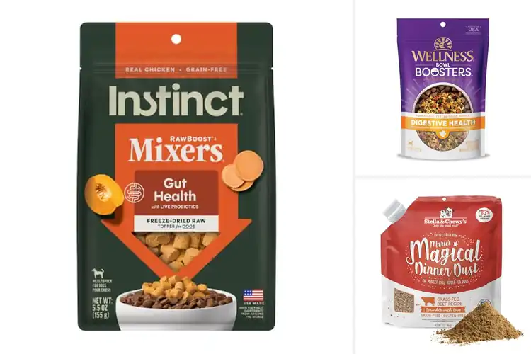 Detailed view of Best Probiotic Dog Meal Toppers: 10 Tasty Gut-Boosting Picks