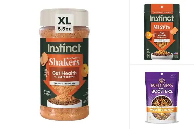 Detailed view of Best Probiotic-Enriched Dog Food Toppers