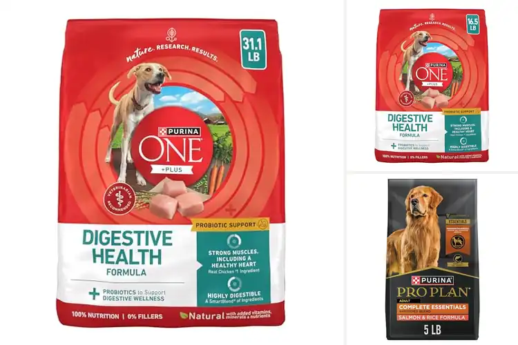 Detailed view of Best Probiotic-Enriched Dog Foods