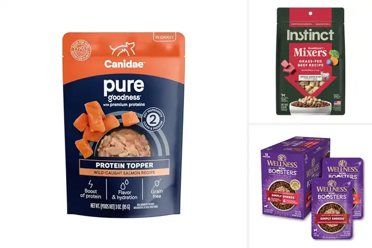 Detailed view of Best Protein Dog Food Toppers: Boost Flavor & Nutrition