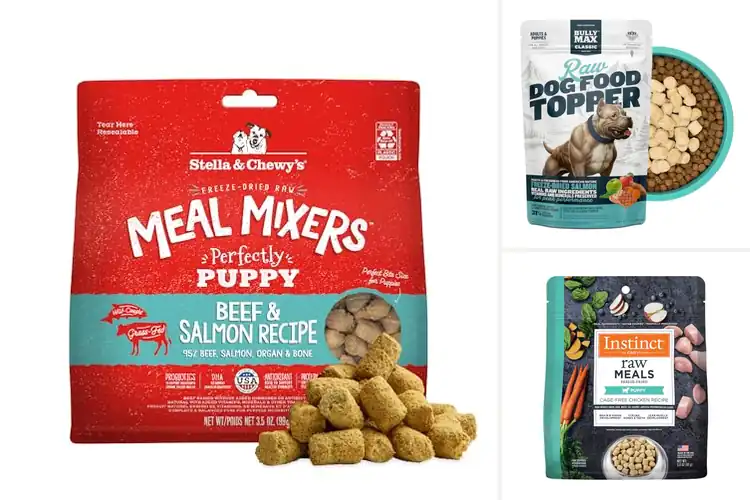 Detailed view of Best Puppy Meal Enhancers: Boost Flavor & Nutrition Fast