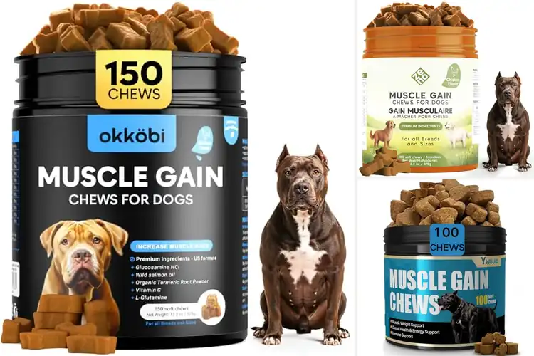 Detailed view of Best Puppy Treats For Weight Gain