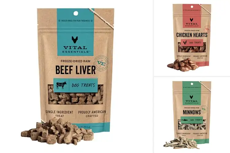 Detailed view of Best Raw Dog Treats: Top 10 Healthy & Tasty Options Revealed