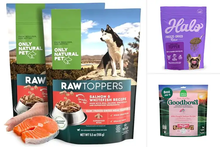 Detailed view of Best Raw Salmon Dog Food Toppers