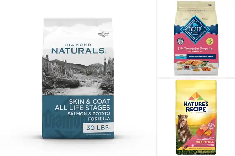 Detailed view of Best Salmon Dog Foods: Top 10 Healthy Picks