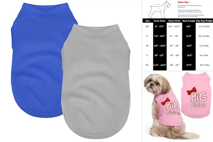 Detailed view of Best Stretchy Pet T-Shirts: Top 10 Comfy & Stylish Picks