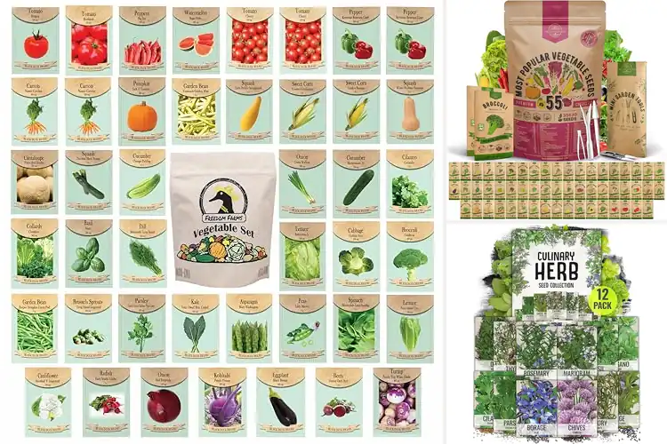 Detailed view of Best Variety Seed Packs