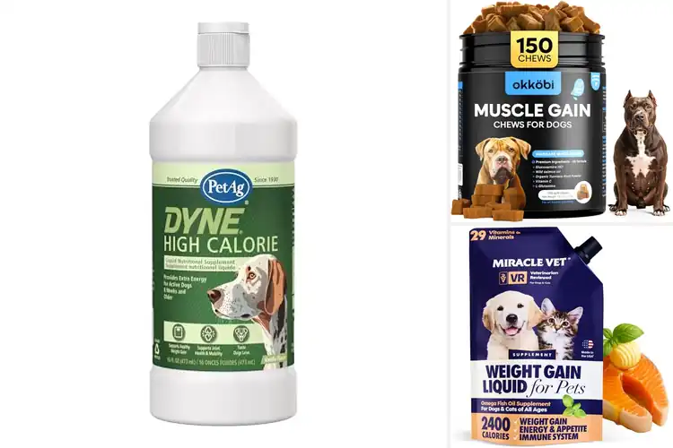 Detailed view of Best Weight Gain Dog Food Supplements