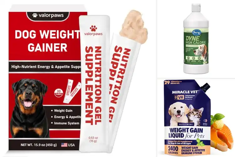 Detailed view of Best Weight Gain Toppers for Dogs: 10 Safe & Tasty Options